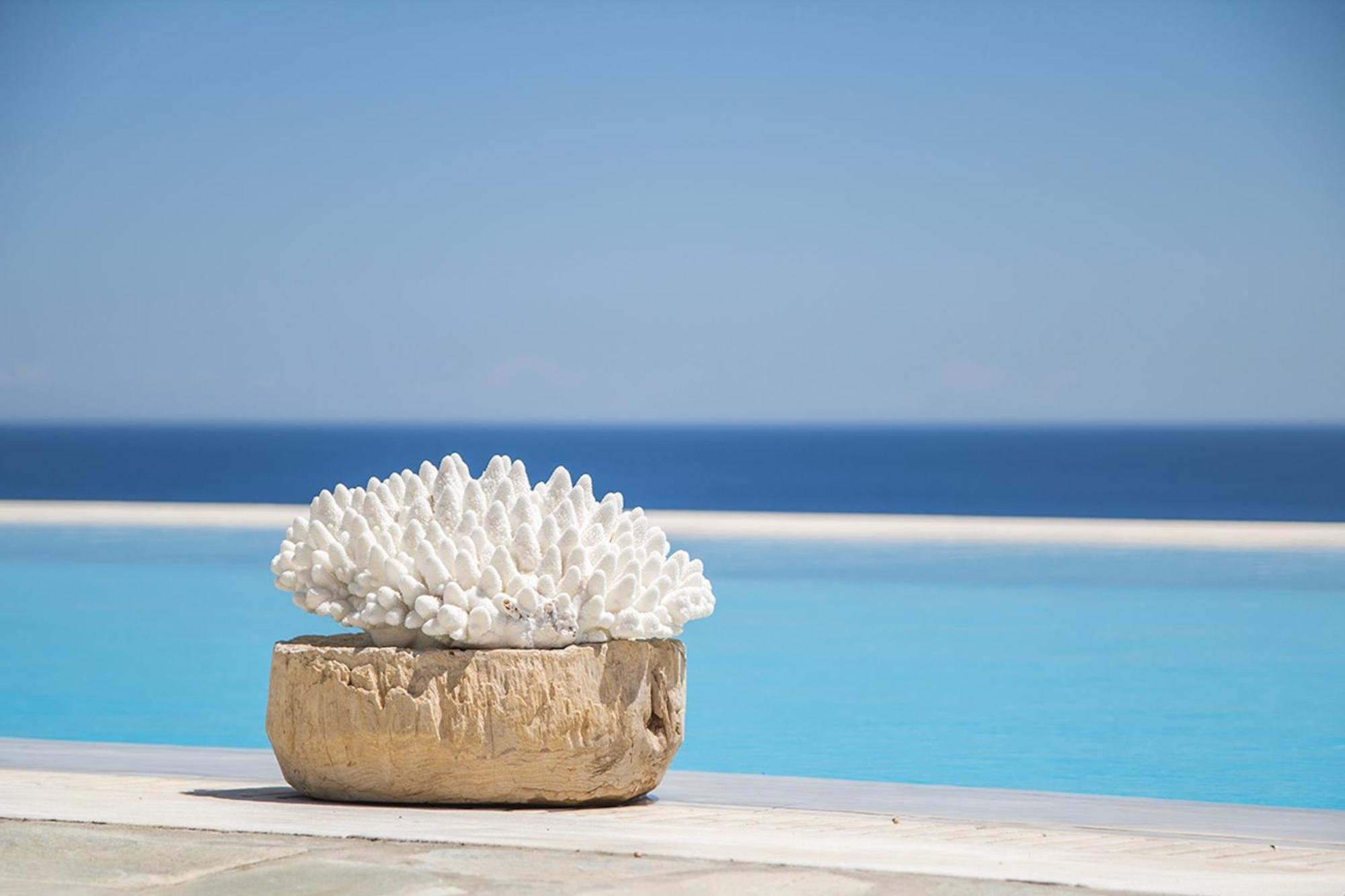 Villa Anatoli Mykonos Town Extérieur photo